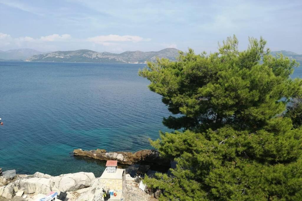 Apartment Lea - Amazing Sea View Sreser Exterior photo